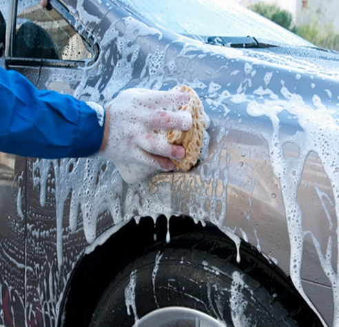 Auto Detailing